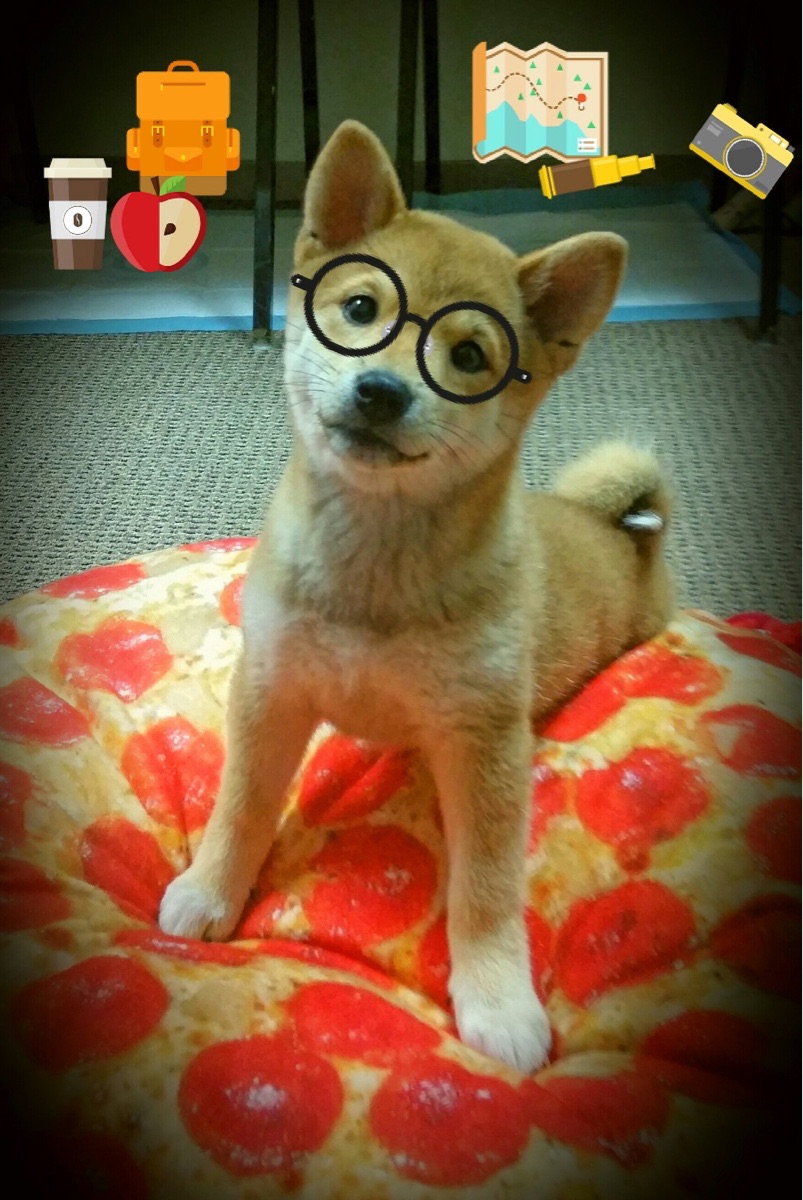 mk体育中国官网-体育场馆安全技术升级，体育场馆安全专项整治方案