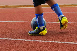 mk体育官网-篮球运动员心理健康支持体系构建，篮球运动员心理健康支持体系构建方案