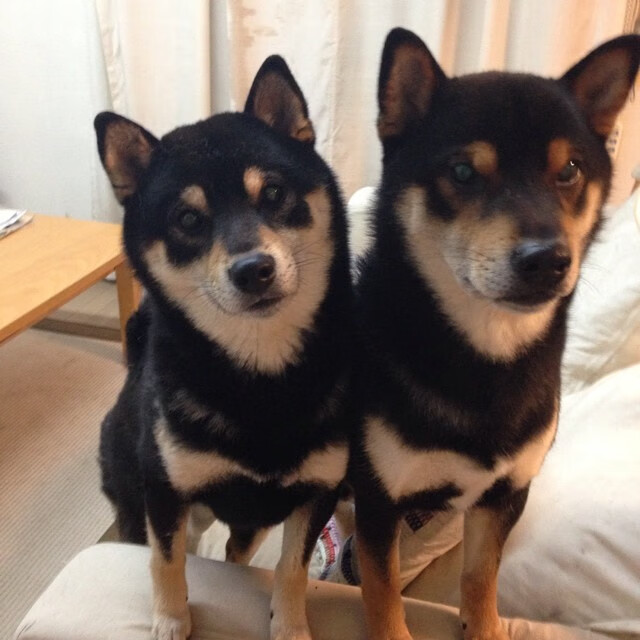 mk体育官网-运动员康复管理新技术，运动员康复训练计划考虑因素