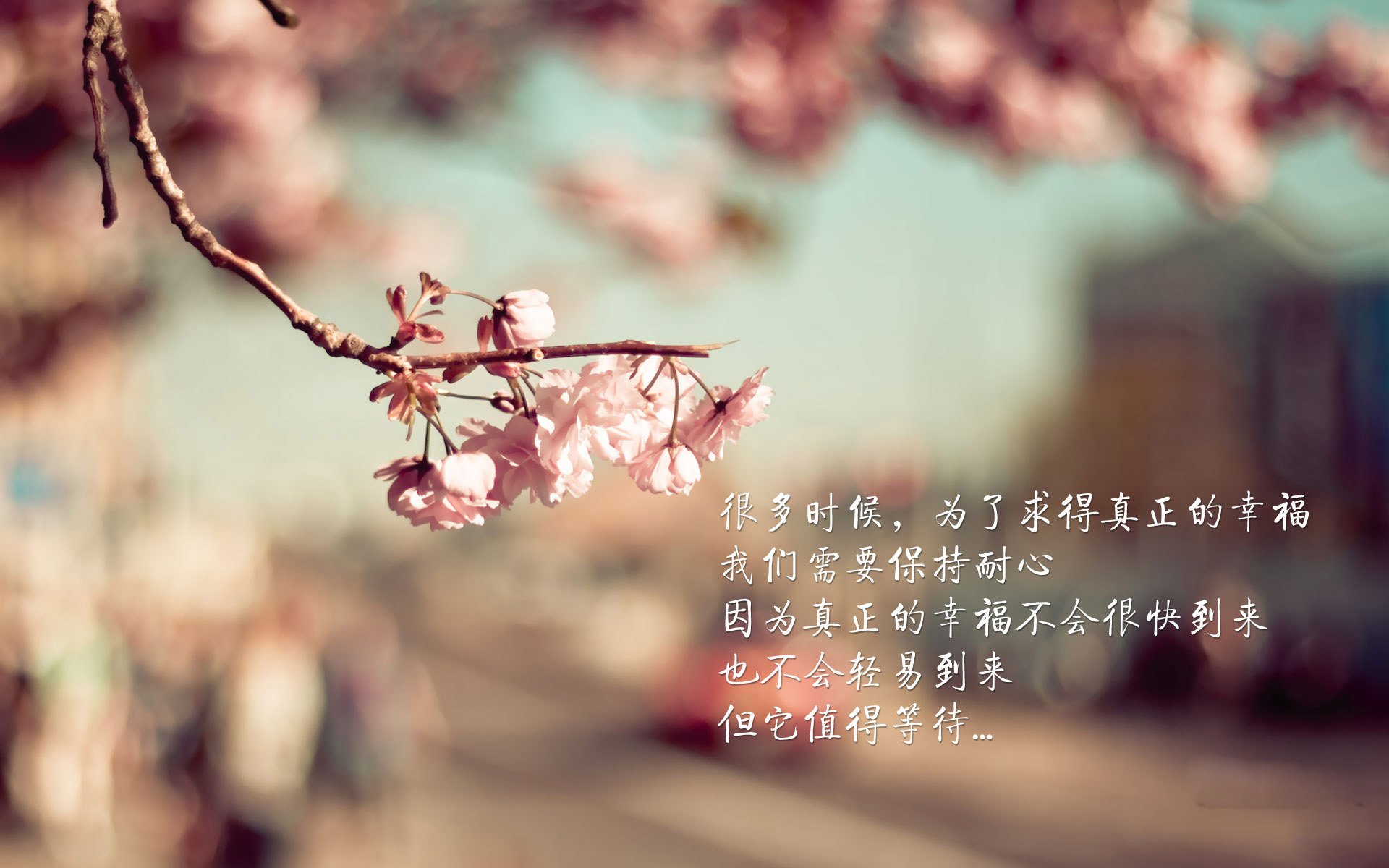 体育新闻中心发布智慧健身内容生态构建方案，推行智慧健身的意义