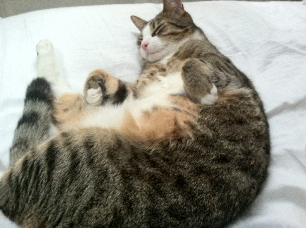 技术细节改进带来成绩提升,改进技术搭配对吗