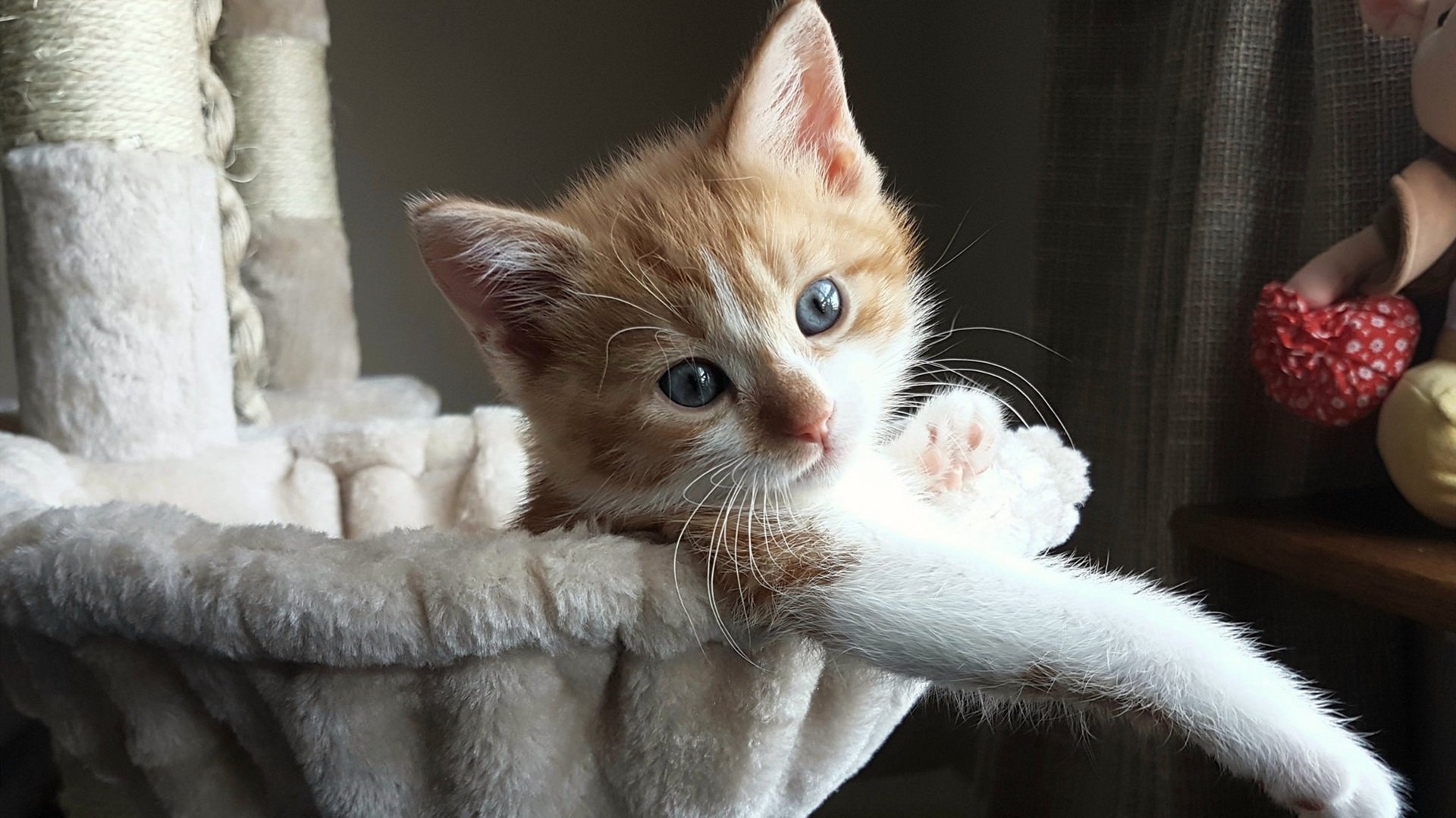 球员心理素质训练为何难以覆盖全队,nba心理素质强的球员