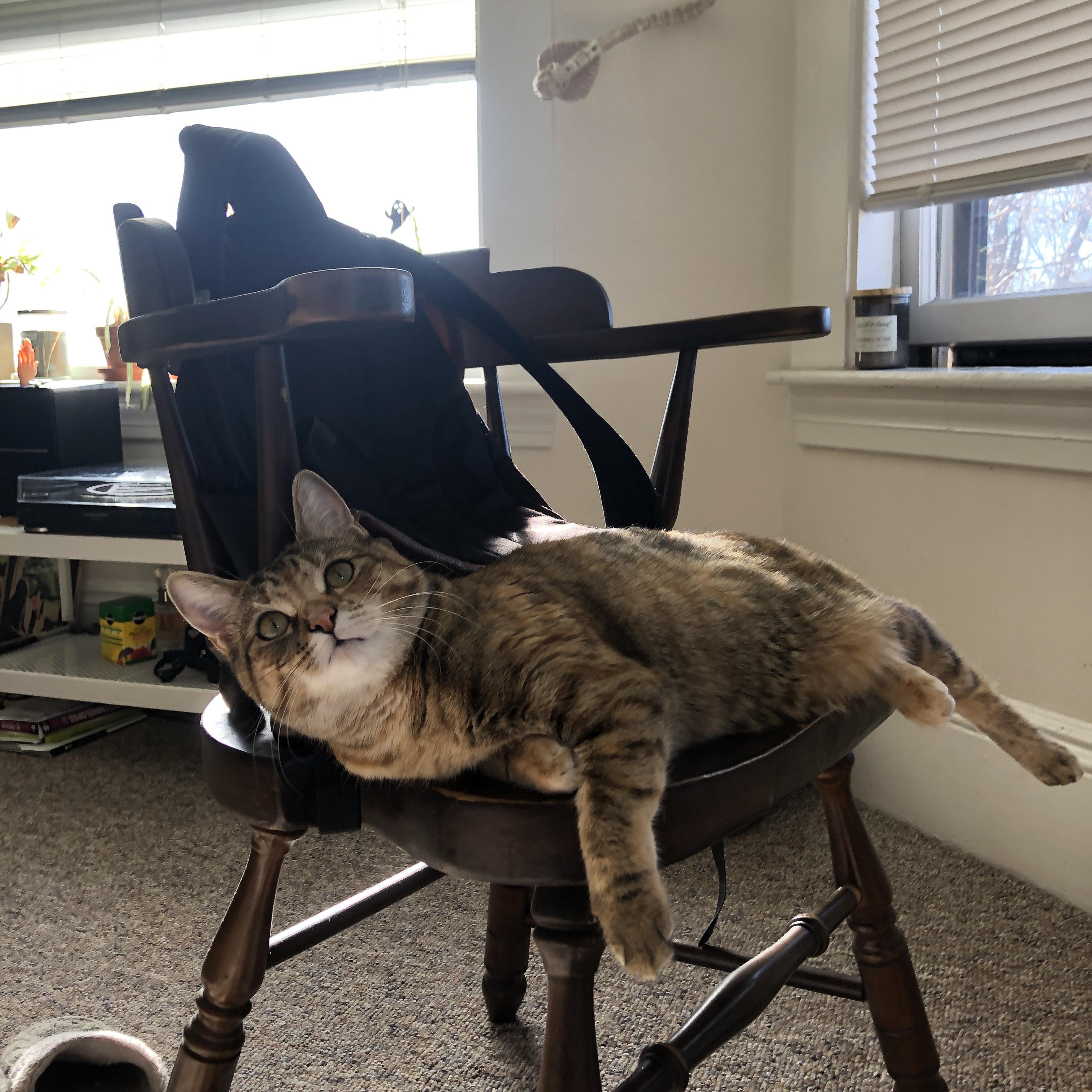 球队执行力训练细节升级模拟实战场景多样化,球队执行球员选项是什么意思