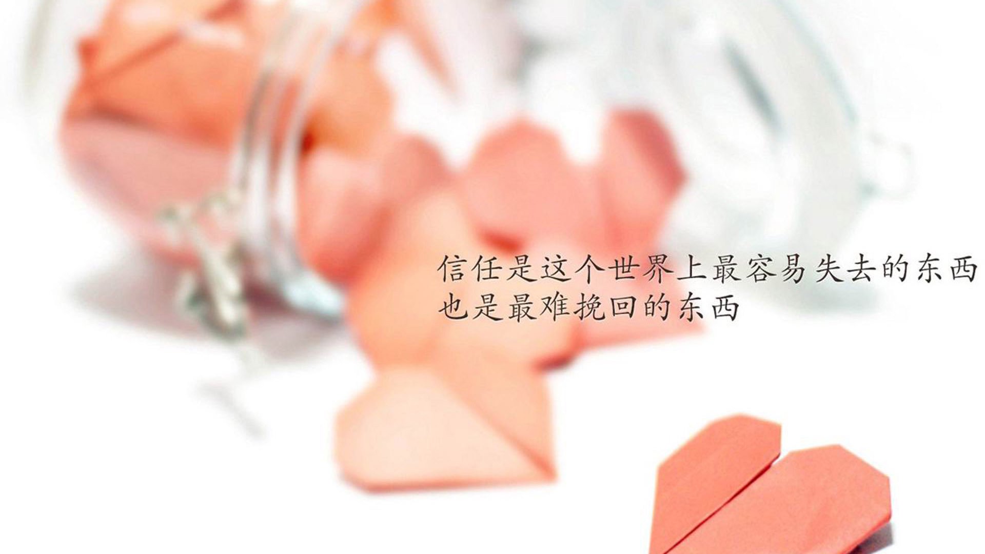 mk体育中国官网-青少年搏击联赛引导安全对抗理念深入人心，青少年搏击比赛规则