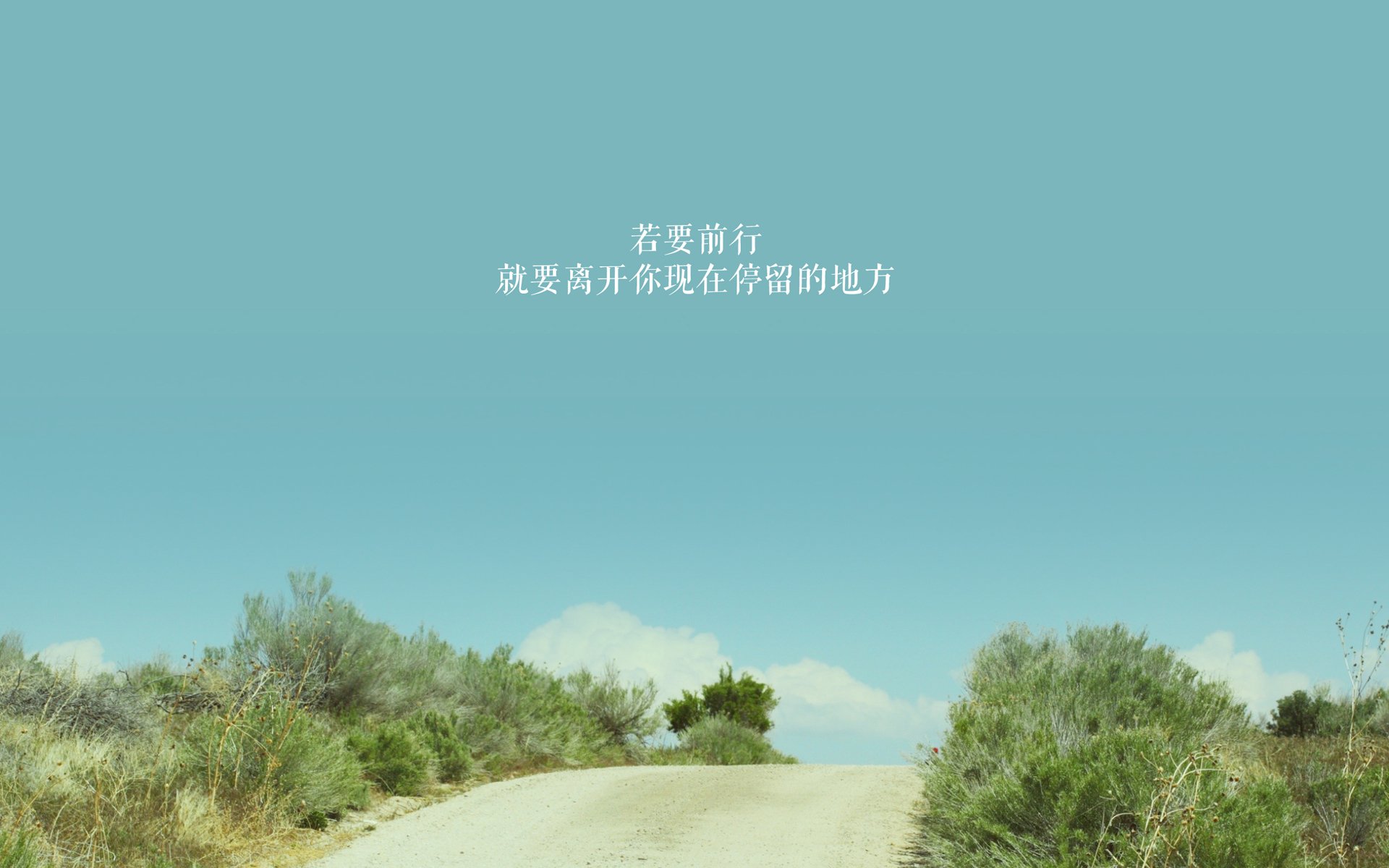 中国女足锁定胜局亚洲杯,女足 中国