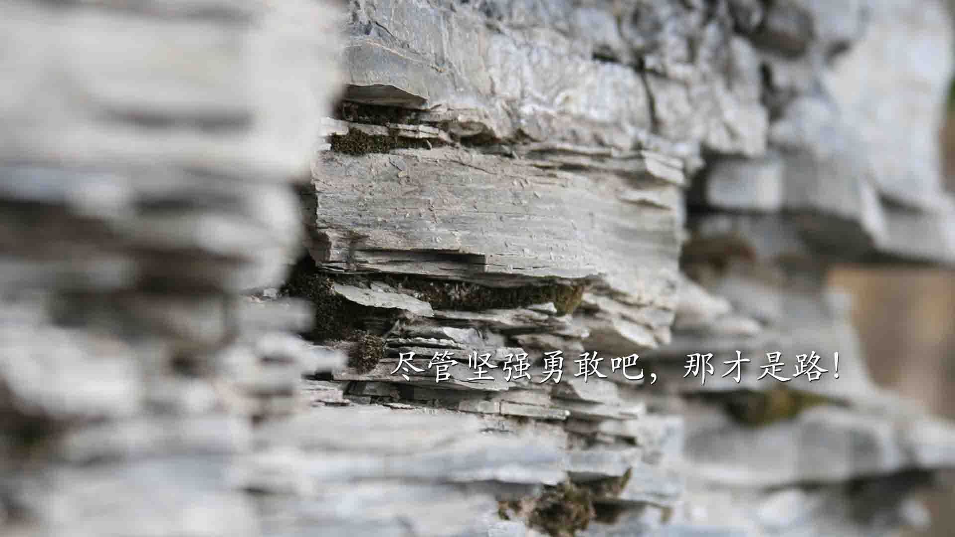 中超赛程优化方案出台合理分配高强度对抗场次,中超联赛分析