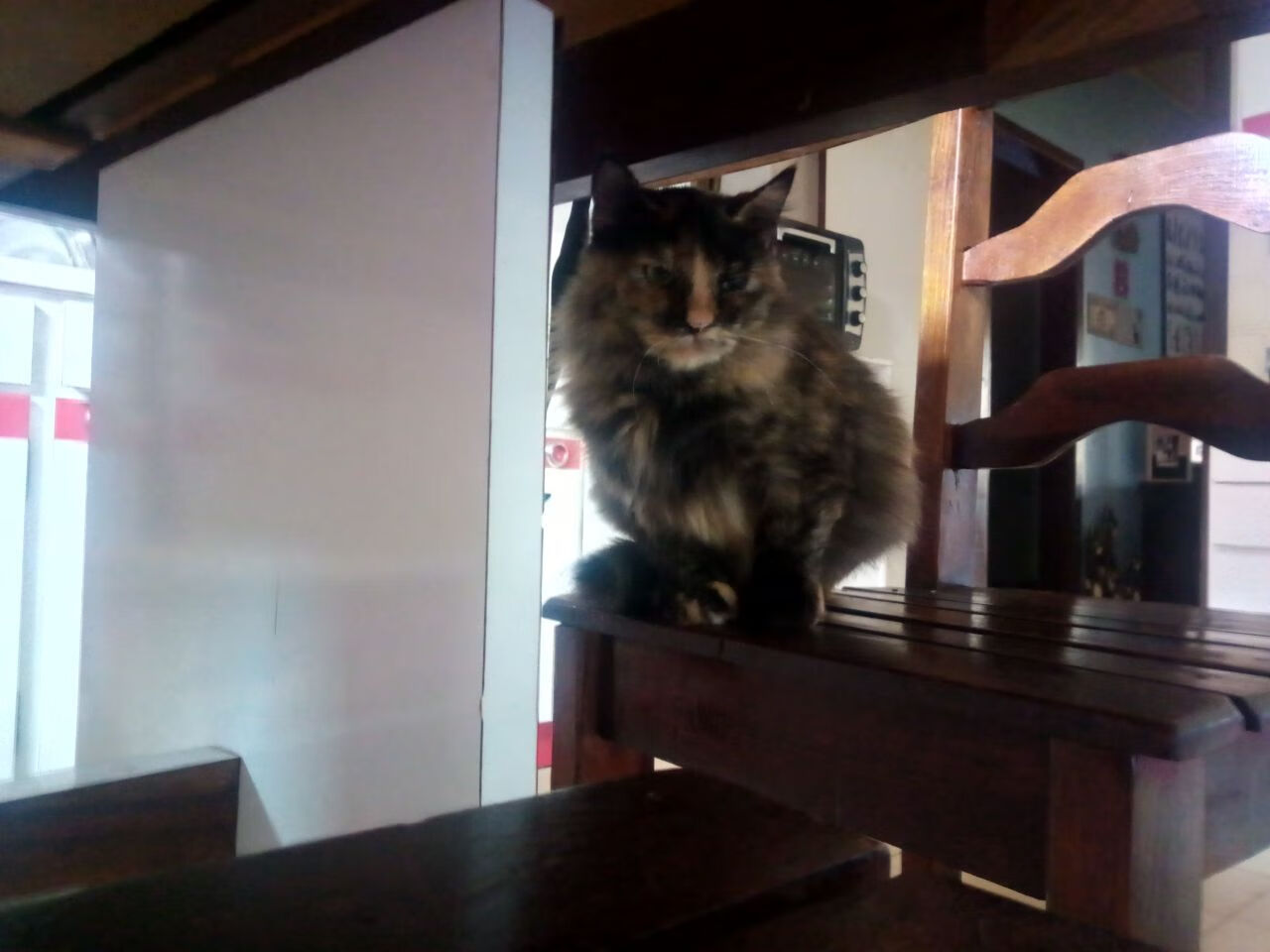 北马其顿男篮在国际邀请赛中展现爆发力