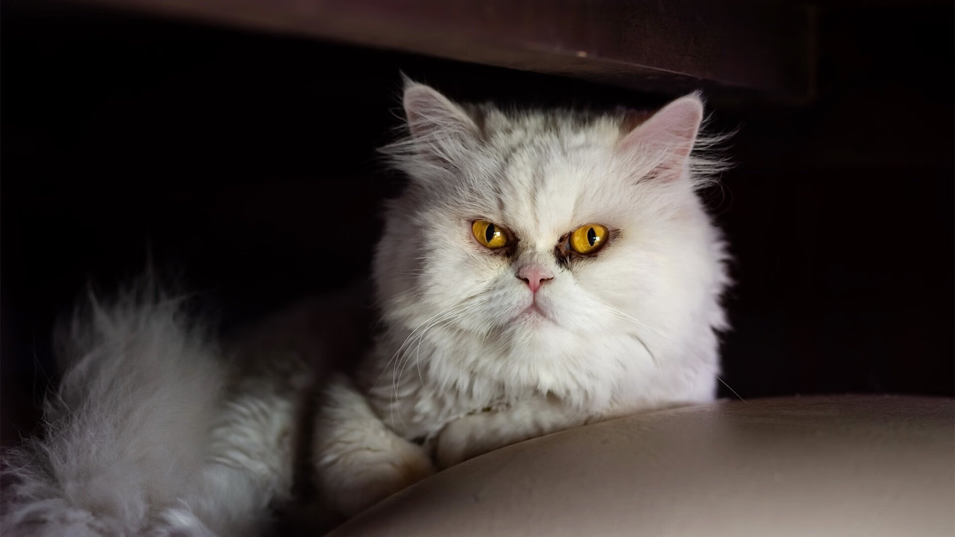 国家登山协会公布国家级技术评定标准及评分细则,国家登山证书