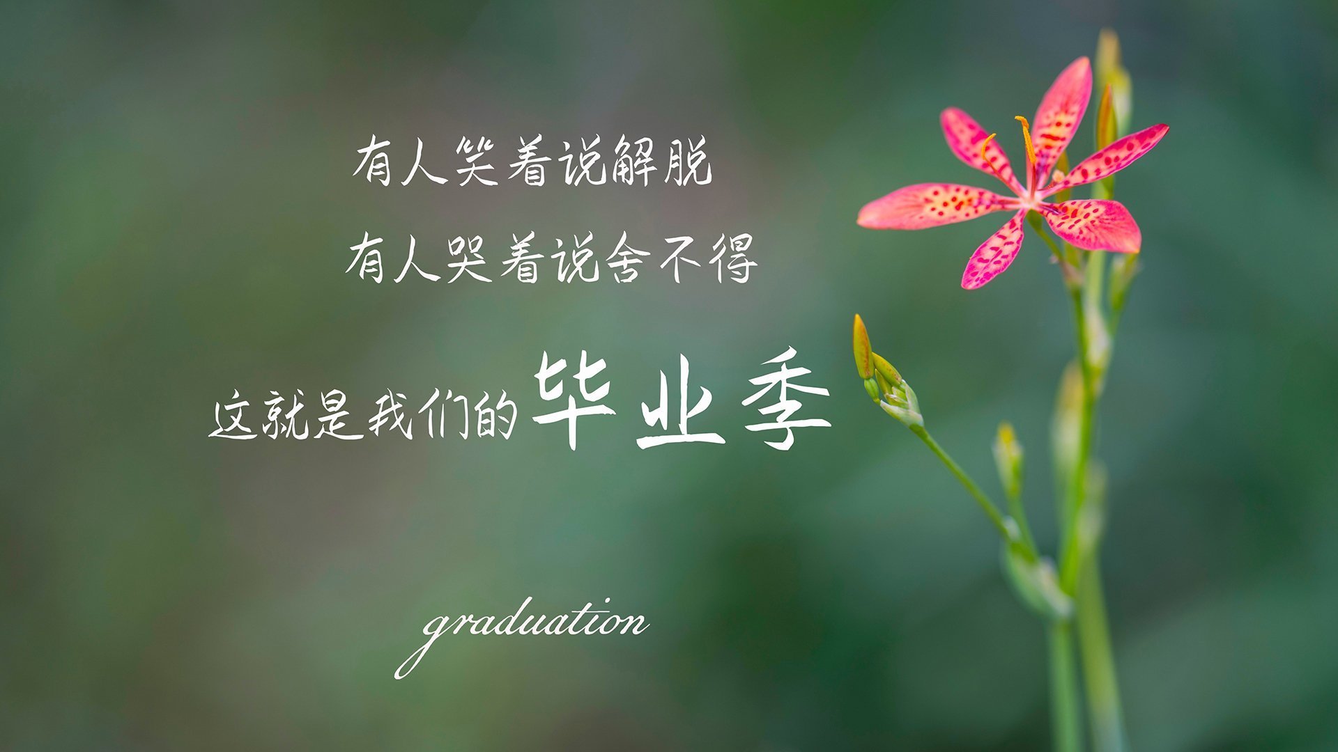 mk体育入口-塔特在比赛中展现的高强度压迫防守，为袋鼠队带来优势