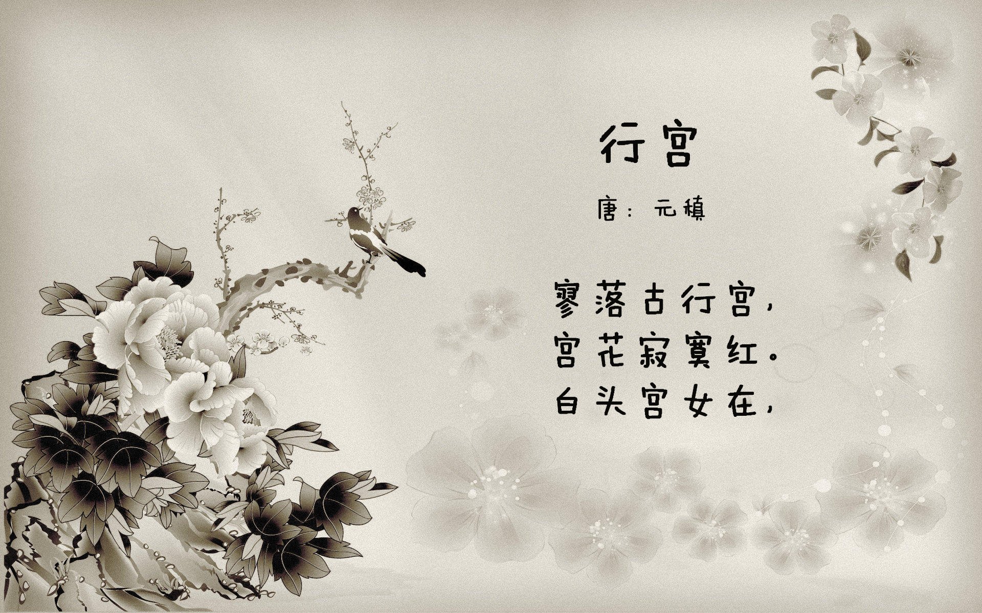 塞尔维亚女篮在欧洲锦标赛中豪夺金牌，持续保持强劲势头，塞尔维亚女篮奥运表现