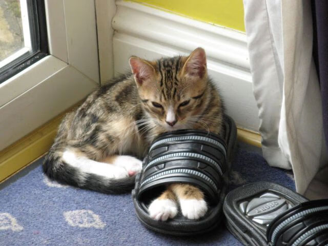 mk体育入口-德甲激情碰撞：攻守激情全面爆发！，德甲 集锦