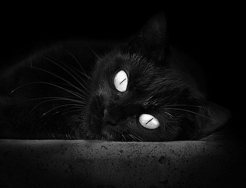 mk体育中国官网-意甲战役火爆：攻防精彩不断，比分胶着，意甲比分500网