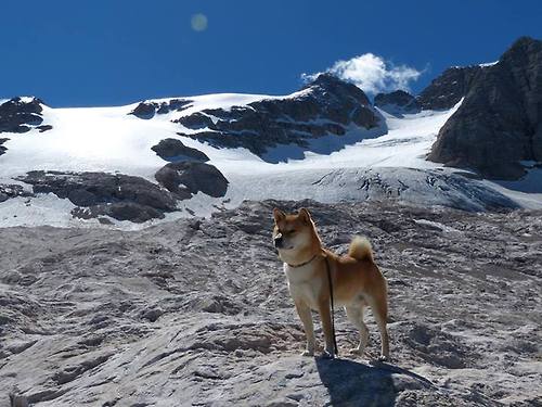 CBA是否鼓励球队创新营销和粉丝服务，cba什么赞助