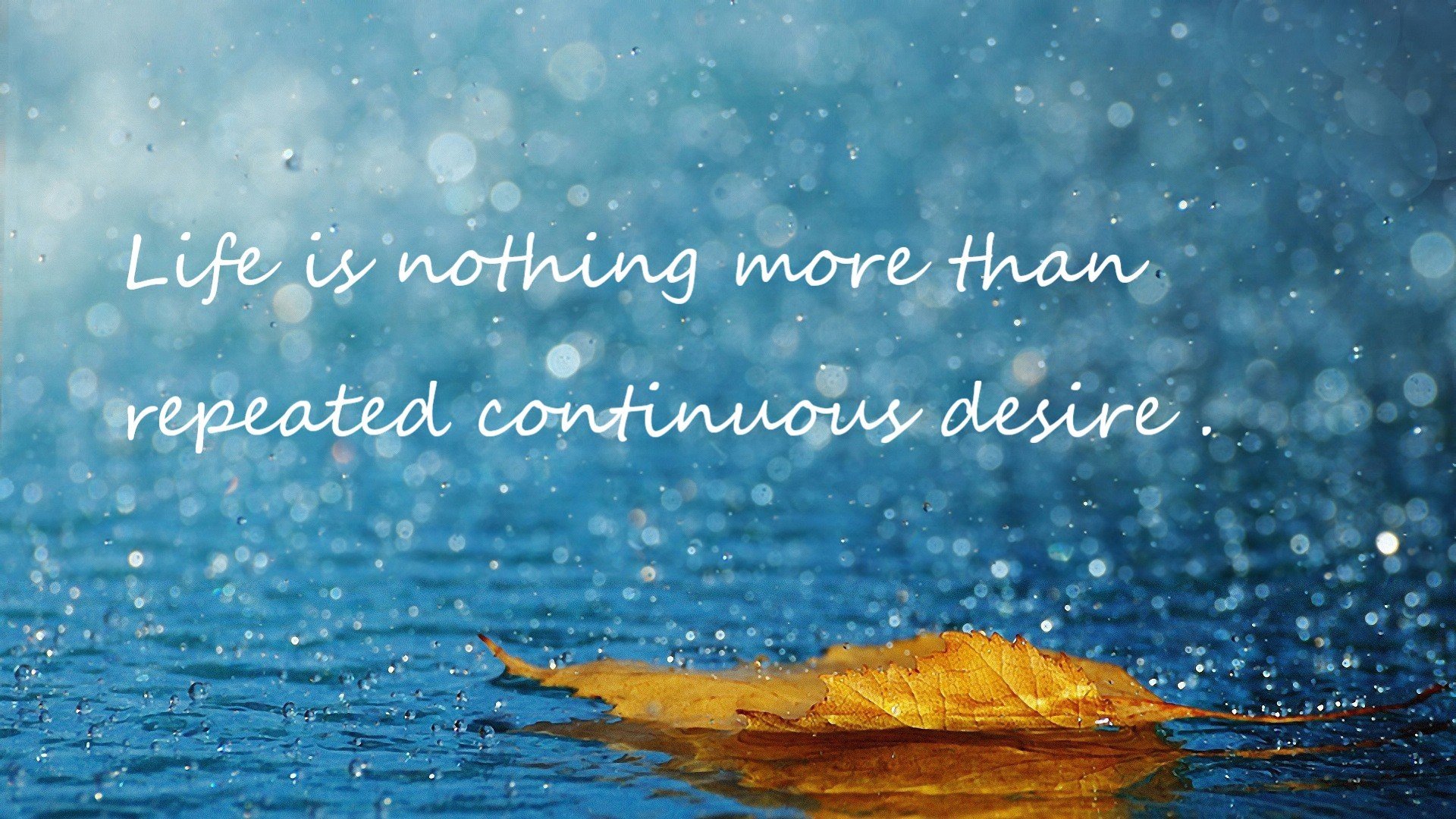 mk体育平台官网-中国明确WTO特殊与差别待遇基本主张，wto特点