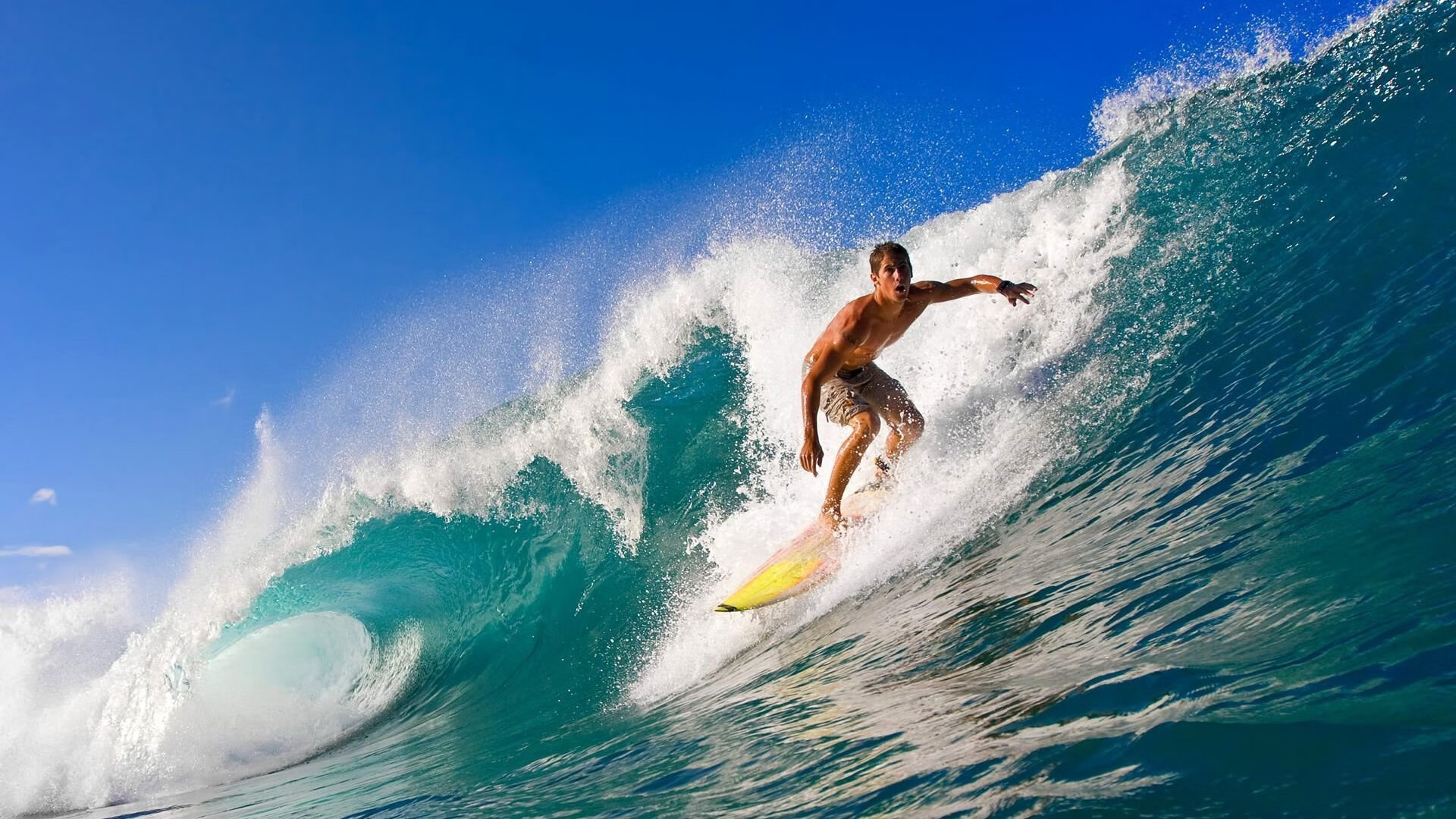 巡回赛观众席气氛持续升温